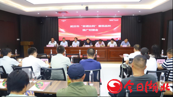 开云官方-特色蔬菜专项扶持 武汉市召开吉诺比利番茄品种推广对接会